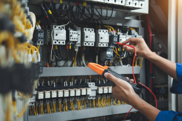 Best Electric Panel Repair  in West Athens, CA